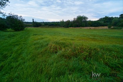 Działka budowlana na sprzedaż Łaziska Górne, Brada, Kolejowa 3 934m2 Foto 3