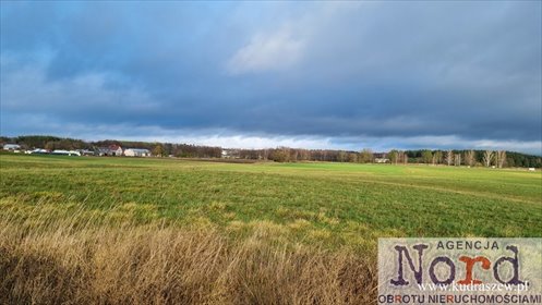 działka na sprzedaż 127529m2 działka Augustów