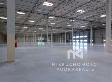 Polecam magazyn 5000 m² w Rzeszowie z adaptacją biura i socjalnych magazyn Rzeszów, Technologiczna