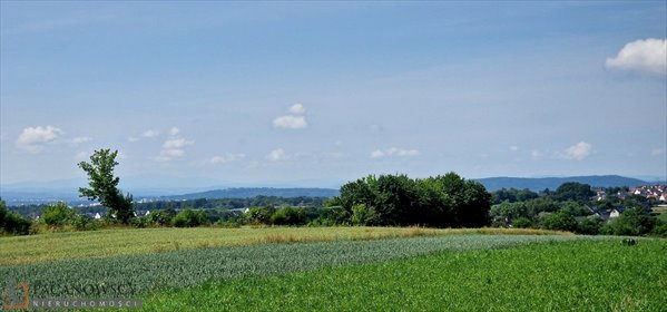 działka na sprzedaż 3175m2 działka Bibice