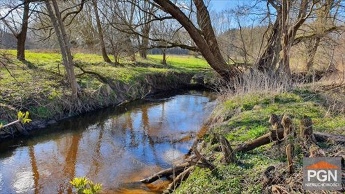 Działka 8 054 m² z rzeką i starodrzewem - zapraszam działka NIECHORZE OKOLICA