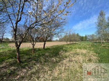 działka na sprzedaż 2506m2 działka Kotowice