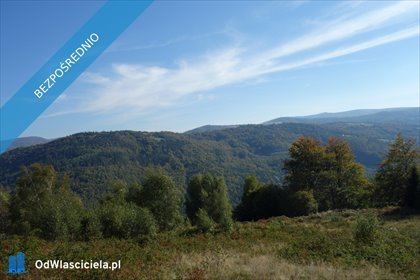 działka na sprzedaż 25300m2 działka Brenna