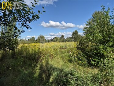 Działka 1321 m² w Desno, spokojna okolica - polecam! działka Desno
