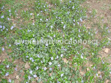 działka na sprzedaż 5100m2 działka Ojrzanów