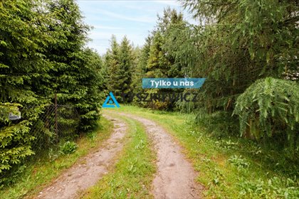 działka na sprzedaż 3755m2 działka Sucha Huta, Wieżycka