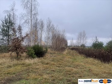 działka na sprzedaż 6443m2 działka Pasek