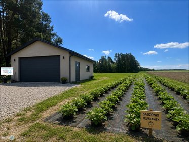 Działka rolna z możliwością zabudowy, 4300 m2, asfalt działka Busko Zdrój, Busko Zdrój, Busko