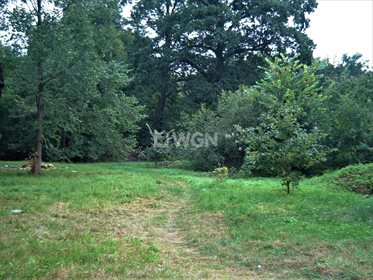 działka na sprzedaż 4622m2 działka Wrocław, Psie Pole, Pęgowska