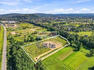 Zapraszam do zakupu działki 11 555 m² z pozwoleniem na halę 2114 m² działka Wola Filipowska