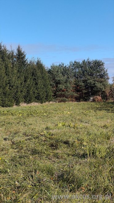 działka na sprzedaż 5637m2 działka Przypki