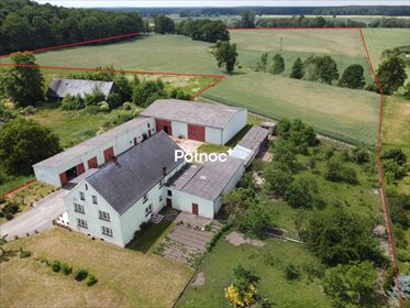 Do sprzedania gospodarstwo rolne z budynkami i 12 ha w Golnicach działka Golnice