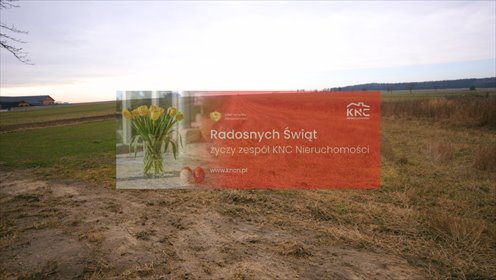 działka na sprzedaż 24000m2 działka Kępa