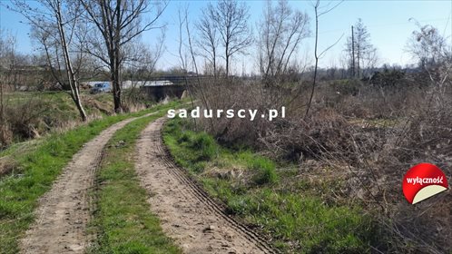 działka na sprzedaż 33000m2 działka Skrzeszowice, Spacerowa