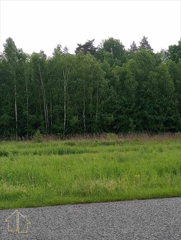 Zapraszam do zakupu działki 47 arów pod zabudowę zagrodową działka Grodzisko Dolne