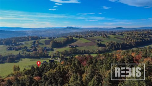 działka na sprzedaż 13600m2 działka Podolany