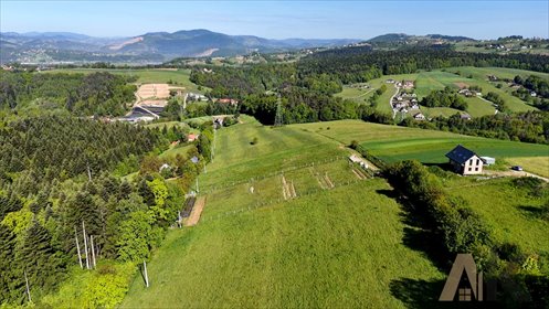 działka na sprzedaż 2000m2 działka Januszowa