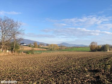Działka budowlana na sprzedaż Kątki, Stadion, Kątki 1 200m2 Foto 1