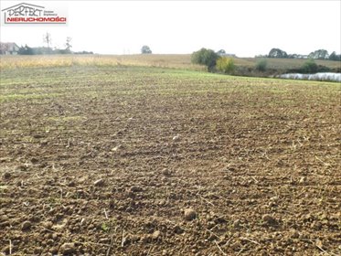 działka na sprzedaż 1571m2 działka Moczadła