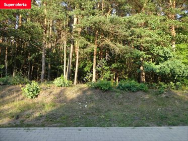 działka na sprzedaż 3675m2 działka Żółwin, Oferta na wyłączność mkwadrat.eu