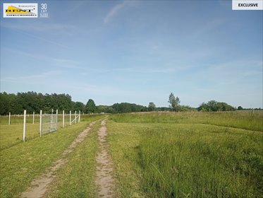 działka na sprzedaż 3011m2 działka Chociwel