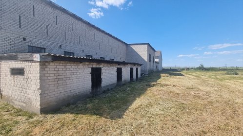 lokal użytkowy na wynajem 730m2 lokal użytkowy Radzanowo
