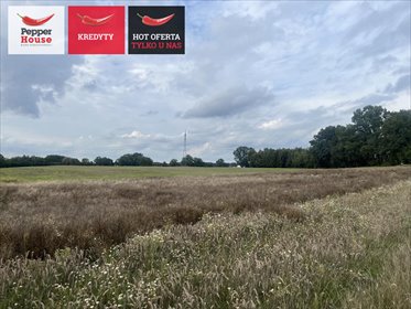 Działka na sprzedaż 3019m2 działka Elbląg