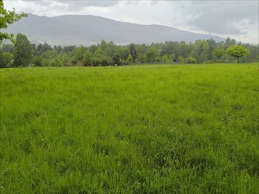 działka na sprzedaż 3400m2 działka Cisiec