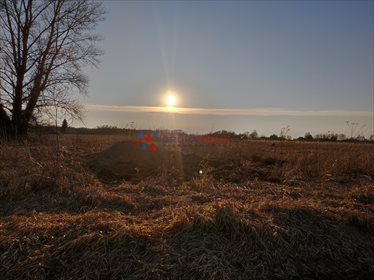 działka na sprzedaż 20250m2 działka Błonie