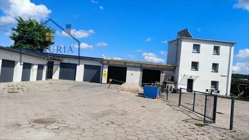 Lokal użytkowy 228 m² + garaże 316 m² polecam lokal użytkowy Nowe Miasto Lubawskie
