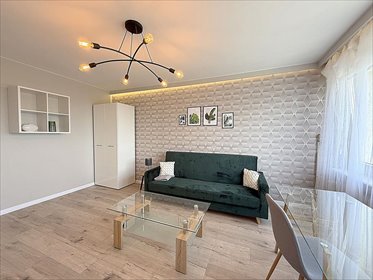 Komfortowe 2-pokojowe mieszkanie 42 m² z widokiem na Chartowo - polecam mieszkanie Poznań, Chartowo, Osiedle Lecha 125
