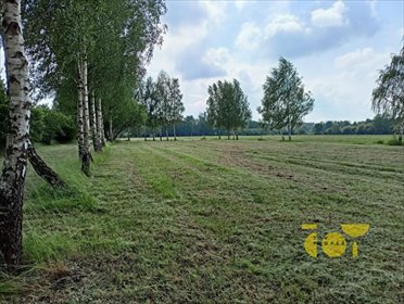 Działka budowlana na sprzedaż Słomczyn, Wilanowska 3 058m2 Foto 3