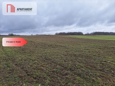 działka na sprzedaż 3800m2 działka Rogów Wołowski