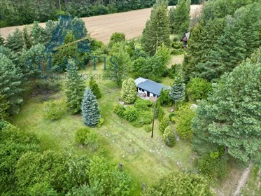 działka na sprzedaż 3000m2 działka Błądzim, Sosnowa