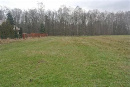 Działka budowlana na sprzedaż Mikołów, Borowa Wieś 2 256m2 Foto 2