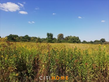 działka na sprzedaż 5400m2 działka Otwock Wielki