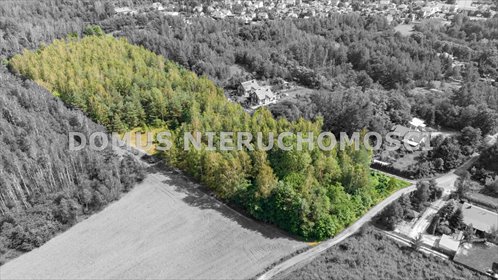 Polecam działkę 22 000 m² w Brzezinach - inwestycyjna i budowlana działka Brzeziny