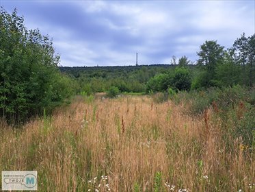 działka na sprzedaż 12800m2 działka NOWA SŁUPIA, HUCISKO