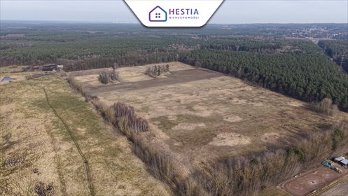 Działka budowlana na sprzedaż Wołczkowo 3 000m2 Foto 6