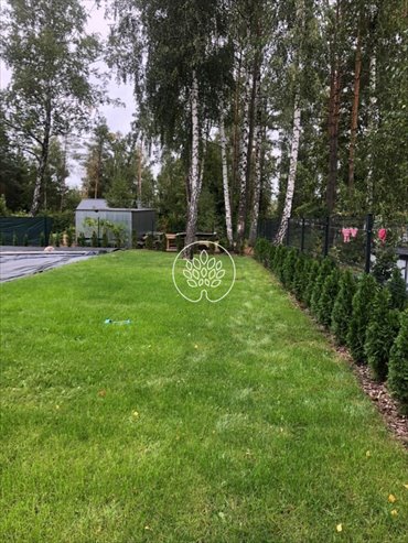 Działka rekreacyjna 800 m² pod dom letniskowy, las, Zalew działka Nowy Jasiniec