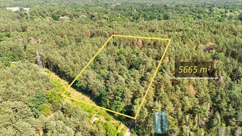 Zapraszam do zakupu działki 5665 m² w Józefowie z starodrzewem działka Józefów, Dębinka, Marii Budziszewskiej
