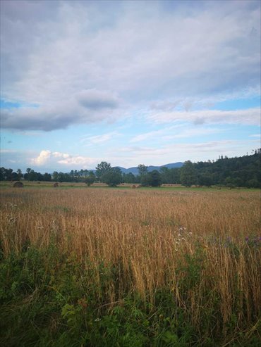 działka na sprzedaż 2000m2 działka Różanka, Różanka