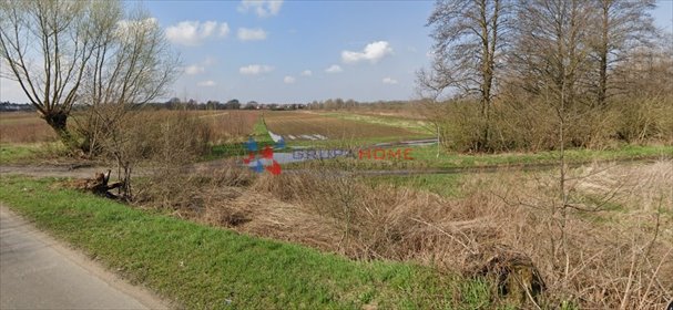 działka na sprzedaż 7500m2 działka Bielawa