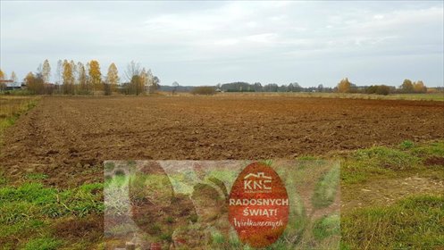 działka na sprzedaż 5500m2 działka Samoklęski