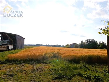 działka na sprzedaż 16256m2 działka Bronisławy