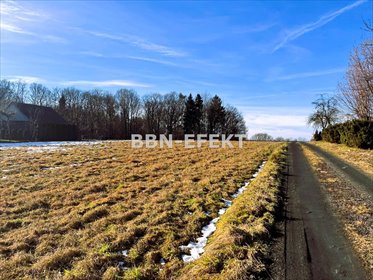 działka na sprzedaż 1092m2 działka Pisarzowice