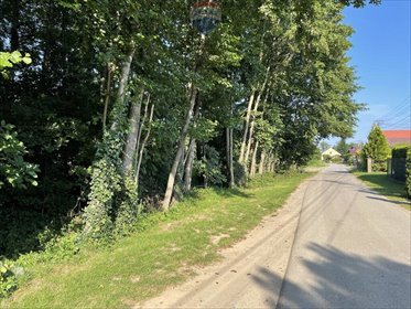 działka na sprzedaż 10619m2 działka Krzeczów