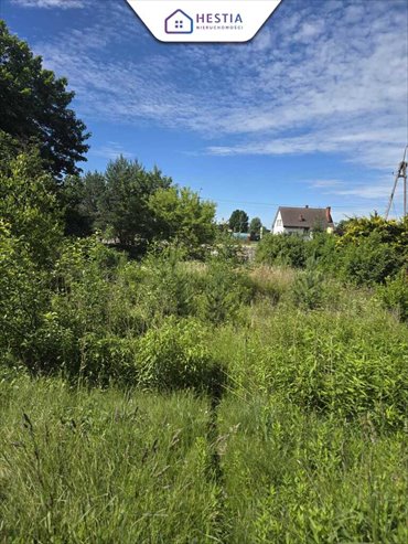 Działka 1800 m² z pozwoleniem na dom w Krągach działka Krągi