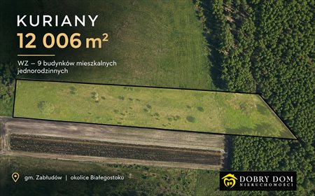 Działka 12 006 m² w Kurianach (potencjał zabudowy) działka Kuriany