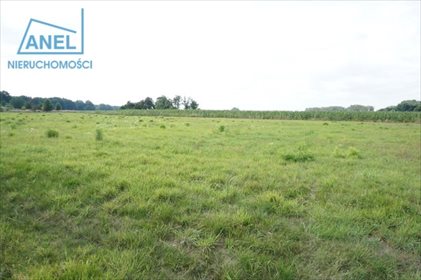Działka rolna na sprzedaż Mikołów, Paniowy 3 260m2 Foto 5